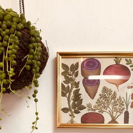 Rincon Botanico - Shared Pool - Island Location - 10 Mins Drive To Famara And La Santa * Тьягуа