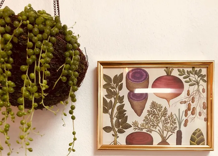 Rincon Botanico - Shared Pool - Island Location - 10 Mins Drive To Famara And La Santa * Tiagua